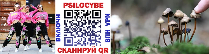 Галлюциногенные грибы Cubensis Юрга